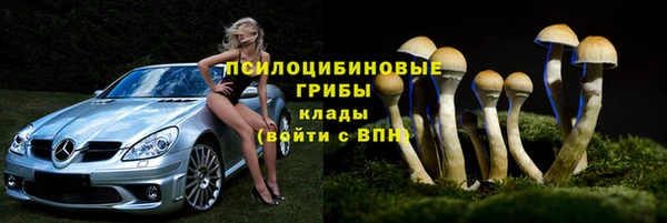 МДПВ Абдулино