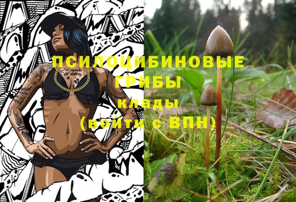 МДПВ Абдулино
